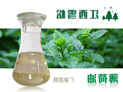 你知道怎样从薄荷叶中提取薄荷油吗？